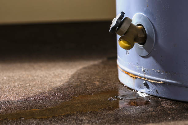 Best 24/7 water damage repair  in Maple Heights, OH
