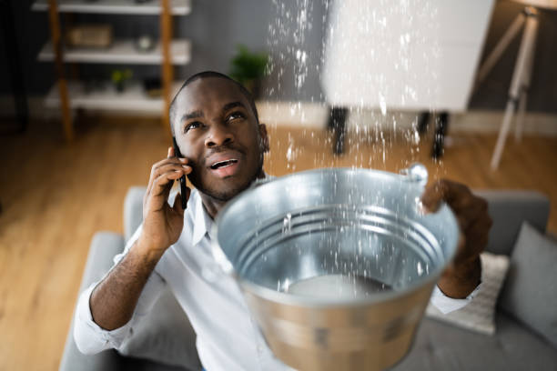 Best Water damage restoration near me  in Maple Heights, OH
