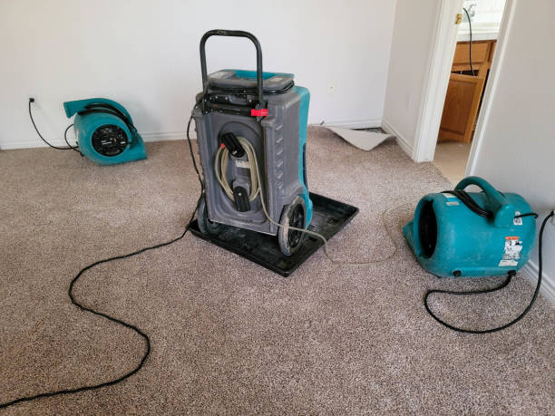 Best Water damage restoration near me  in Maple Heights, OH