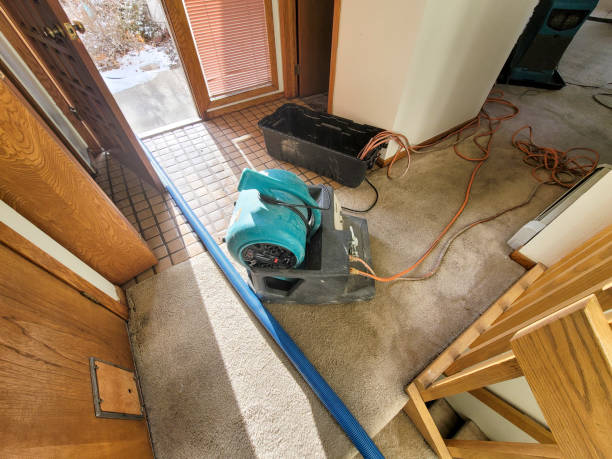 Best Flood damage cleanup  in Maple Heights, OH