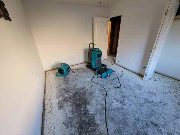 Best Commercial water damage restoration  in Maple Heights, OH