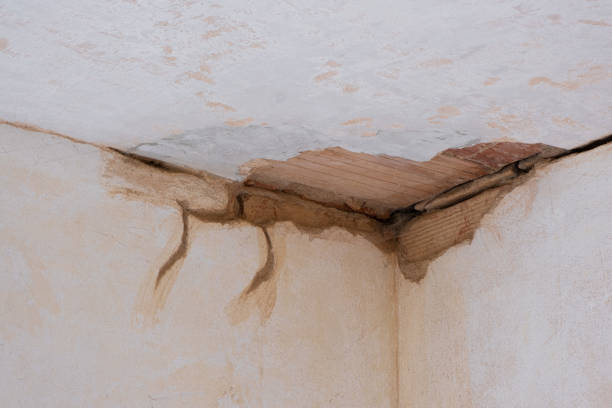 Best Fire Damage Restoration  in Maple Heights, OH