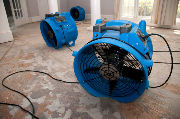 Best Water damage mitigation services  in Maple Heights, OH