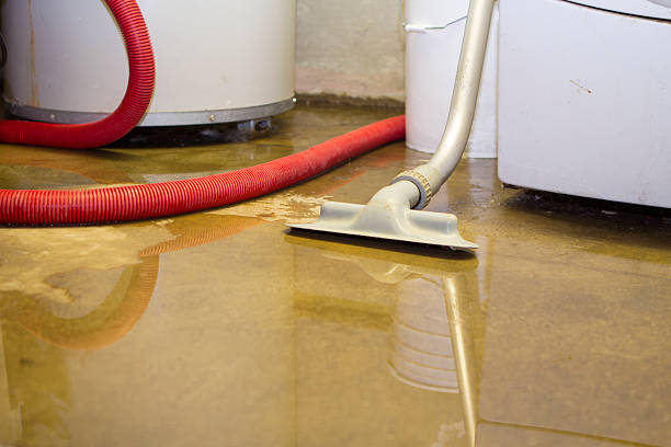 Best Professional water damage repair  in Maple Heights, OH