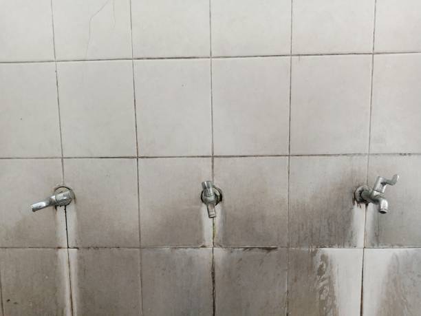 Best 24-hour water damage restoration  in Maple Heights, OH