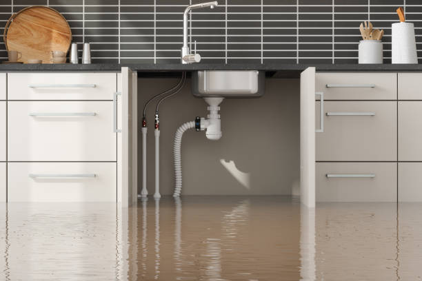 Best Mold removal after water damage  in Maple Heights, OH