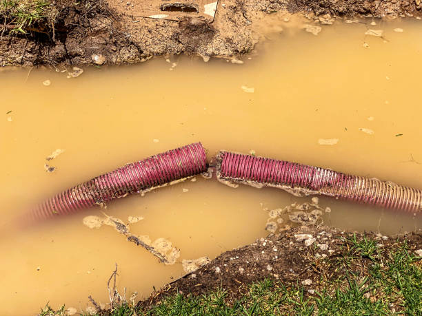 Best 24-hour water damage restoration  in Maple Heights, OH